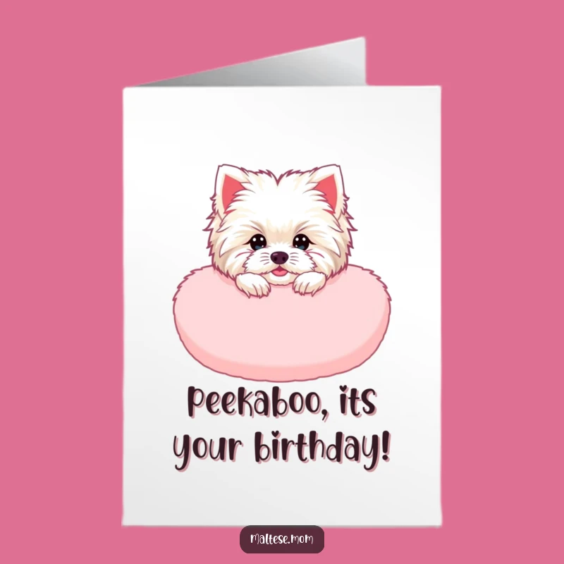 Free Printable Birthday Card: Maltese Peeking Cushion - Downloadable Gift
