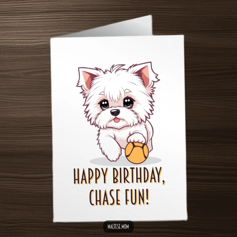 Funny Free Printable Birthday Card: A cute Maltese dog with bright eyes playfully chasing a tiny ball, full of energy.