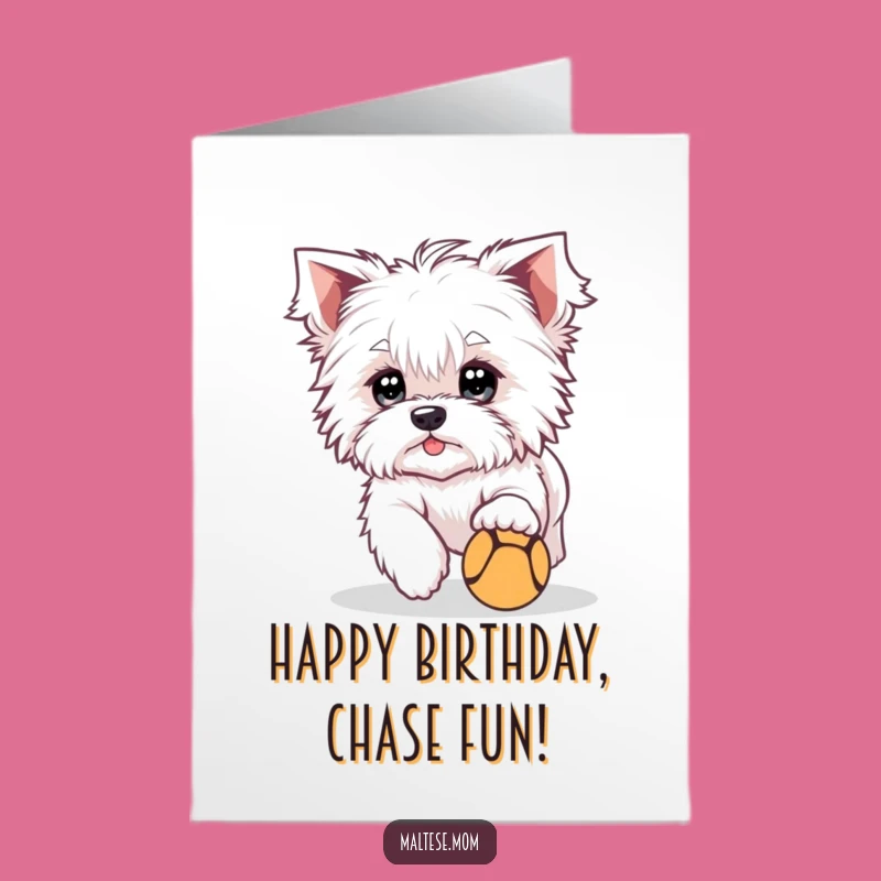 Free Printable Birthday Card: Playful Maltese Ball Chase, Fun DIY Gift!