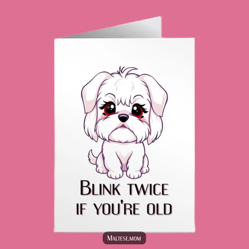 Free Printable Maltese Birthday Card: Innocent Blink Funny Downloadable Gift for Dog Lovers