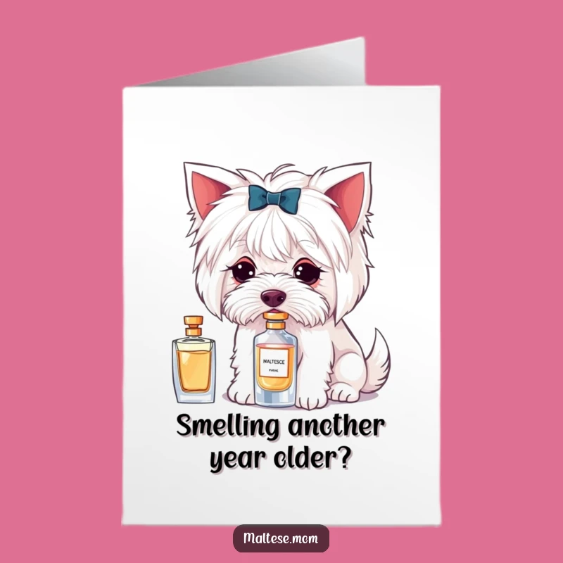 Free Printable Maltese Birthday Card: Perfume Sniff Funny Downloadable Gift for Fashion Lovers