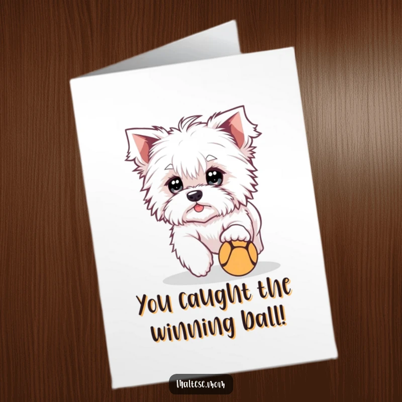 Funny Free Printable Congratulations Card: A cute Maltese with bright eyes chasing a tiny ball, celebrating with playful joy.