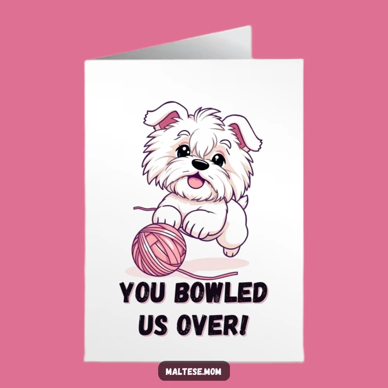 Free Printable Congratulatory Card: Maltese Dog Yarn Chase - Funny Downloadable Surprise