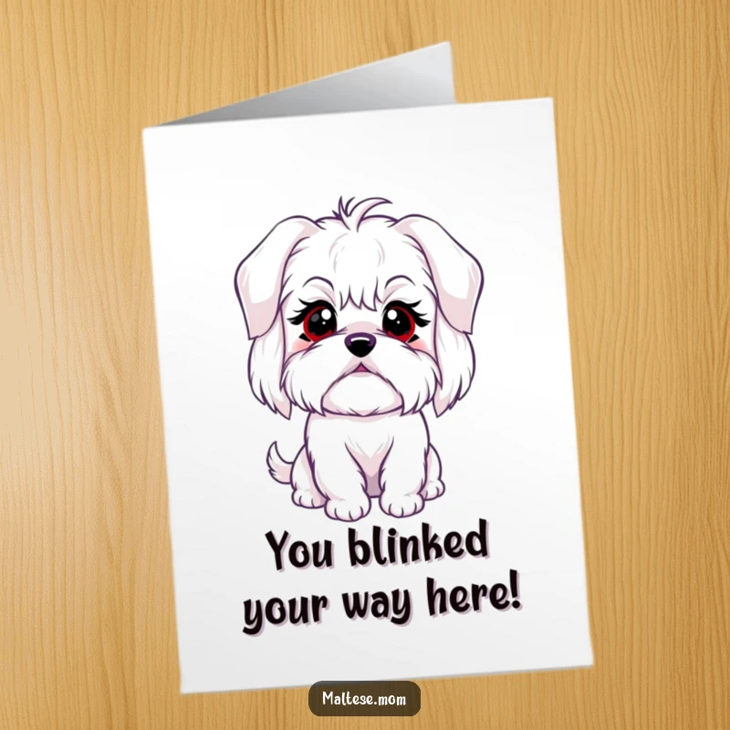 Funny Free Printable Maltese Congratulations Card featuring a dog with a super sweet, innocent blink for joyous occasions.