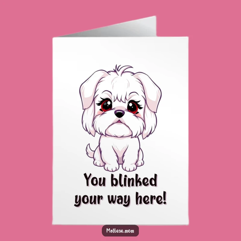 Free Printable Maltese Congrats Card: Innocent Blink Funny Downloadable for Any Celebration